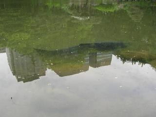 blog_20070507_3_04.jpg