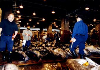 1995_20_ TSUKIJI.jpg