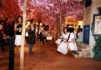 2004_17_自由が丘ブランドのプレステージ .jpg