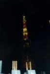 20．誘蛾灯？ ―東京タワーと増上寺―