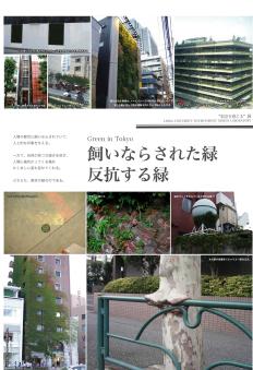 2007_千葉大_01_飼いならされた緑　反抗する緑.jpg