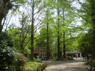 blog_20090420_3_01.jpg