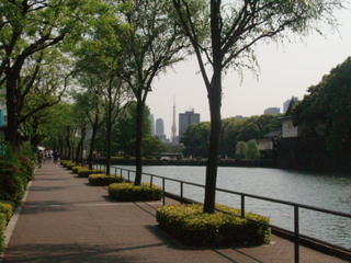 blog_20090509_1_17.jpg