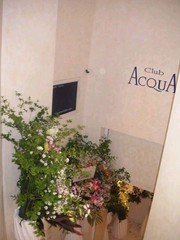 blog_20060515_8_03.jpg