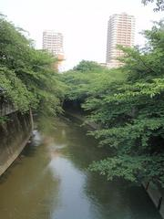 blog_20090613_1_06.jpg