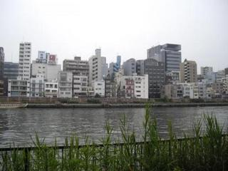 blog_20090615_2_08.jpg