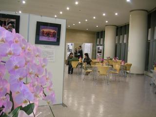 blog_20071125_3_01.jpg