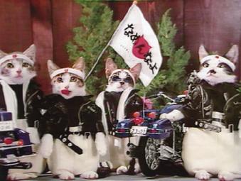 ATP_2008_02_1981年 なめねこ登場.jpg