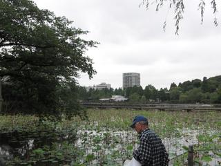 blog_20100526_4_2.jpg