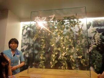 blog_20110626_1_32.jpg
